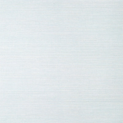 THIBAUT WALLCOVERING-LUTA SISAL- T14527