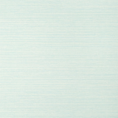 Thibaut Design wallcovering, Luta Sisal pattern , Whisper color, Faux,Texture, Embossed style type , pattern number  T14528