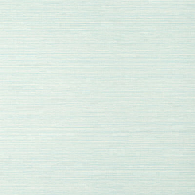 THIBAUT WALLCOVERING-LUTA SISAL- T14528