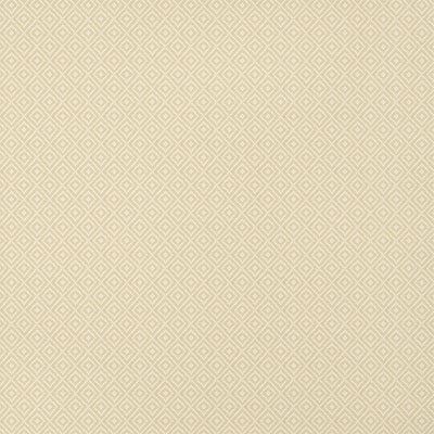 THIBAUT WALLCOVERING-RIMBA- T14539