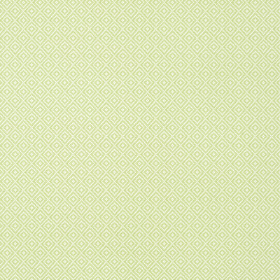Thibaut Design wallcovering, Rimba pattern , Spring color, Geometric,Texture, Embossed style type , pattern number  T14543