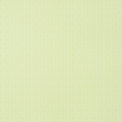 THIBAUT WALLCOVERING-RIMBA- T14543