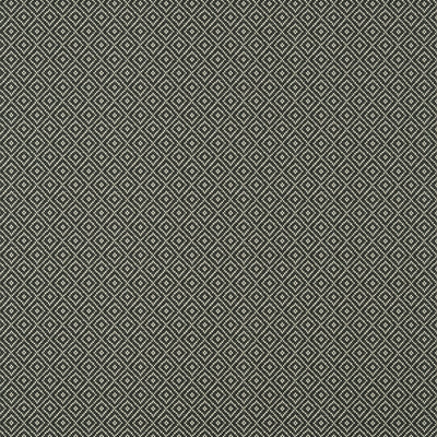 THIBAUT WALLCOVERING-RIMBA- T14546