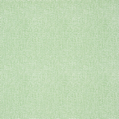 Thibaut Design wallcovering, Palawan pattern , Black , Green color, Texture Printed style type , pattern number  T16261
