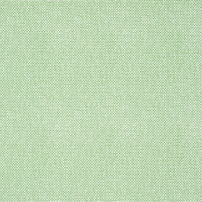 THIBAUT WALLCOVERING-PALAWAN- T16261