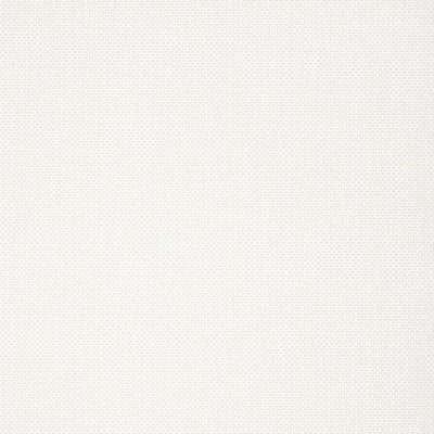 Thibaut Design wallcovering, Palawan pattern , Dove color, Texture Printed style type , pattern number  T16265