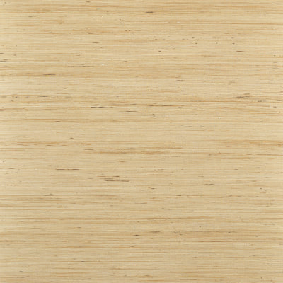 Thibaut Design wallcovering, Sydney pattern , Mink color, Texture, Embossed style type , pattern number  T19654