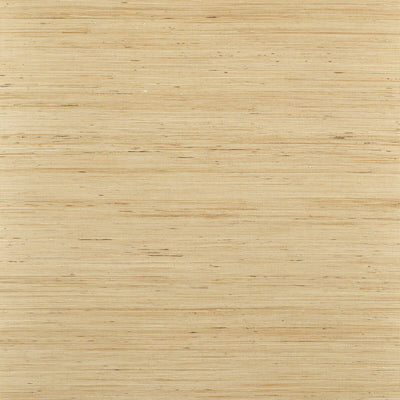 THIBAUT WALLCOVERING-SYDNEY- T19654