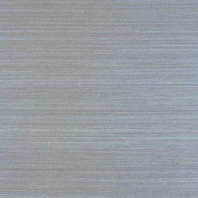 Thibaut Design wallcovering, Windward Sisal pattern , Stormy Blue color, Texture, Embossed style type , pattern number  T19667