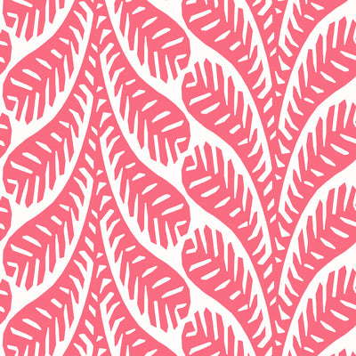 Thibaut Design wallcovering, Ginger pattern , Pink color, Leaves,Tropical style type , pattern number  T20831
