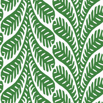Thibaut Design wallcovering, Ginger pattern , Emerald color, Leaves,Tropical style type , pattern number  T20832
