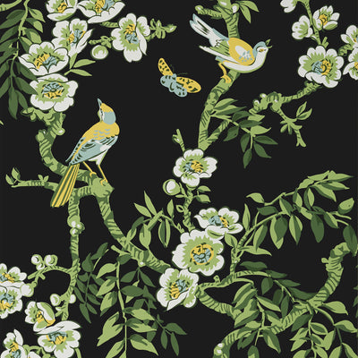 THIBAUT WALLCOVERING-YUKIO- T20845