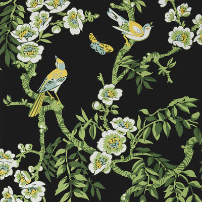 Thibaut Design wallcovering, Yukio pattern , Black color, Butterflies , Bugs,Birds,Chinoiserie,Floral,Leaves style type , pattern number  T20845