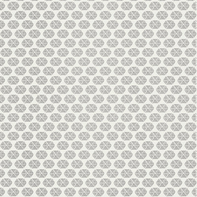 Thibaut Design wallcovering, Parada pattern , Grey , White color, Dots,Geometric style type , pattern number  T2927