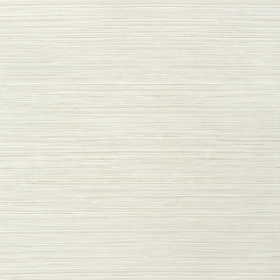 Thibaut Design wallcovering, Kendari Grass pattern , Off White color, Faux,Texture, Embossed style type , pattern number  T292