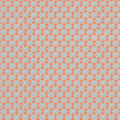 Thibaut Design wallcovering, Parada pattern , Orange color, Dots,Geometric style type , pattern number  T2935