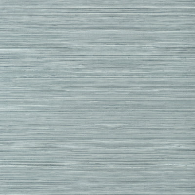 Thibaut Design wallcovering, Kendari Grass pattern , Robin's Egg color, Faux,Texture, Embossed style type , pattern number  T300