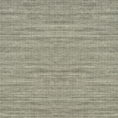 Thibaut Design wallcovering, Journey pattern , Putty color, Texture, Embossed style type , pattern number  T317