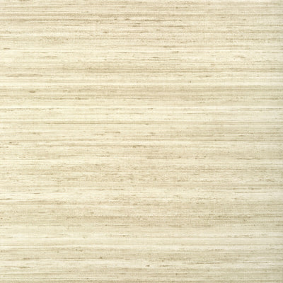 THIBAUT WALLCOVERING-WILD SILK- T328