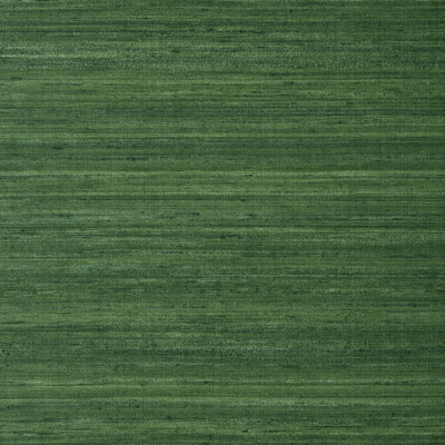 Thibaut Design wallcovering, Wild Silk pattern , Emerald Green color, Faux,Texture, Embossed style type , pattern number  T343
