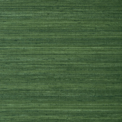 THIBAUT WALLCOVERING-WILD SILK- T343