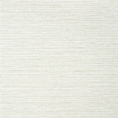 Thibaut Design wallcovering, Woody Grass pattern , Pearl color, Faux,Texture, Embossed style type , pattern number  T347
