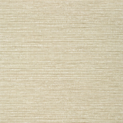Thibaut Design wallcovering, Woody Grass pattern , Beige color, Faux,Texture, Embossed style type , pattern number  T348