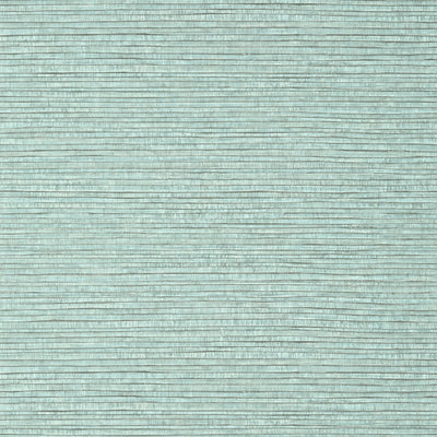 Thibaut Design wallcovering, Woody Grass pattern , Aqua color, Faux,Texture, Embossed style type , pattern number  T351