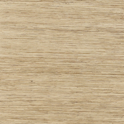 Thibaut Design wallcovering, Ramie Bay pattern , Beige color, Texture, Embossed style type , pattern number  T3635