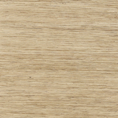 THIBAUT WALLCOVERING-RAMIE BAY- T3635