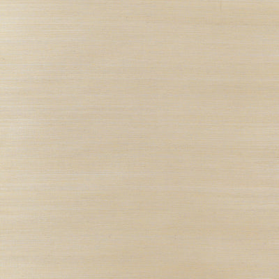 Thibaut Design wallcovering, Natural Metal pattern , Pewter color, Texture, Embossed style type , pattern number  T3649