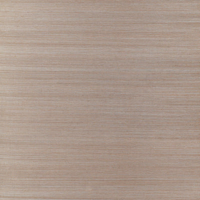 Thibaut Design wallcovering, Natural Metal pattern , Light Brown color, Texture, Embossed style type , pattern number  T3651