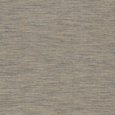 Thibaut Design wallcovering, Sardinia pattern , Grey color, Texture, Embossed style type , pattern number  T3676