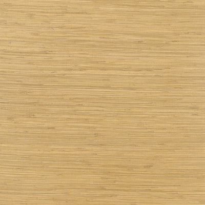 Thibaut Design wallcovering, Rush Cloth pattern , Metallic Gold color, Texture, Embossed style type , pattern number  T3694