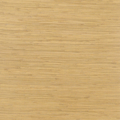 THIBAUT WALLCOVERING-RUSH CLOTH- T3694