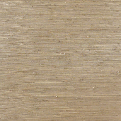 THIBAUT WALLCOVERING-RUSH CLOTH- T3696
