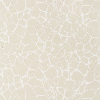 THIBAUT WALLCOVERING-AMATO- T4014