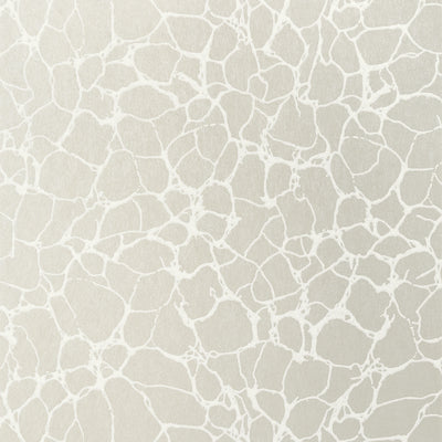 Thibaut Design wallcovering, Amato pattern , Silver color, Geometric,Texture, Embossed style type , pattern number  T4017