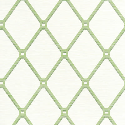 THIBAUT WALLCOVERING-EASOM TRELLIS- T4051