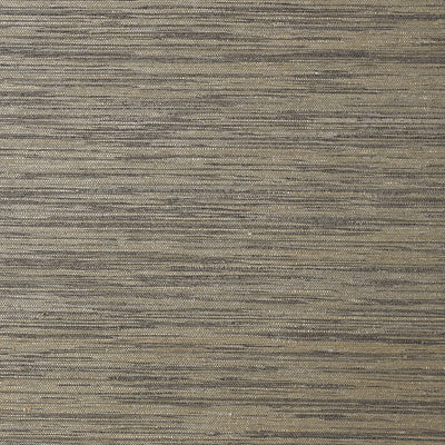 Thibaut Design wallcovering, Gulf Shore pattern , Black color, Texture, Embossed style type , pattern number  T41113