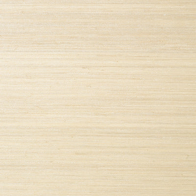 Thibaut Design wallcovering, Gulf Shore pattern , Cream color, Texture, Embossed style type , pattern number  T41116
