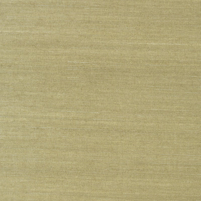 Thibaut Design wallcovering, Shang Extra Fine Sisal pattern , Green color, Texture, Embossed style type , pattern number  T41166