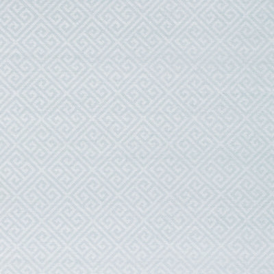 THIBAUT WALLCOVERING-MAZE GRASSCLOTH- T41194