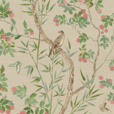 Thibaut Design wallcovering, Claire pattern , Coral color, Butterflies , Bugs,Birds,Chinoiserie,Floral style type , pattern number  T42009