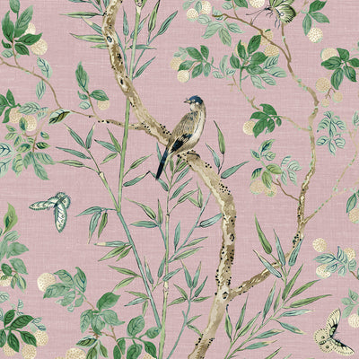 THIBAUT WALLCOVERING-CLAIRE- T42011