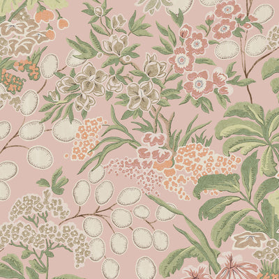 THIBAUT WALLCOVERING-MEADOW- T42036