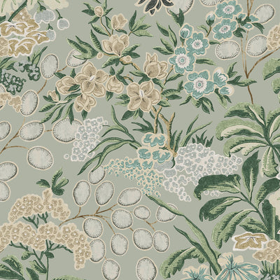 THIBAUT WALLCOVERING-MEADOW- T42039