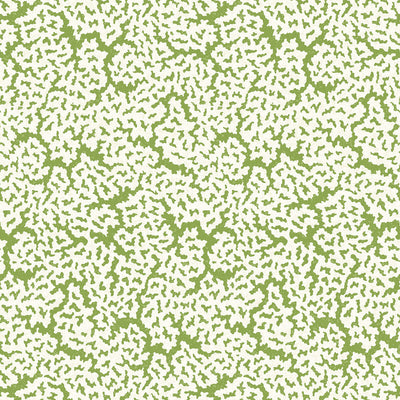 THIBAUT WALLCOVERING-MALDIVES- T42041