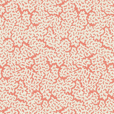 THIBAUT WALLCOVERING-MALDIVES- T42043