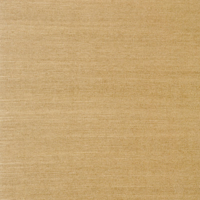 Thibaut Design wallcovering, Shang Extra Fine Sisal pattern , Brown color, Texture, Embossed style type , pattern number  T5036